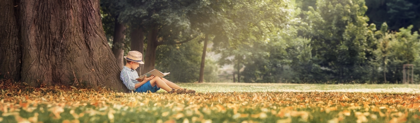 Young boy reading under a tree